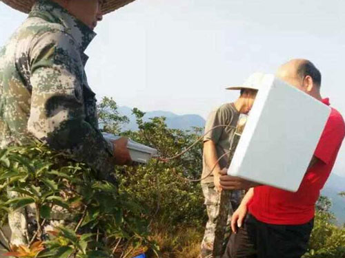 河源埔前镇森林火警监测传输工程