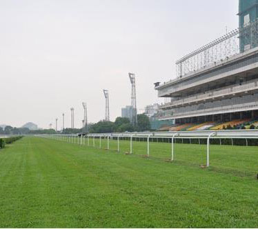 澳门赛马场无线传输成功案例