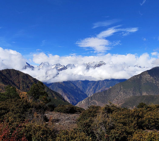 西藏芒康滇金丝猴保护区森林防火无线视频监控案例