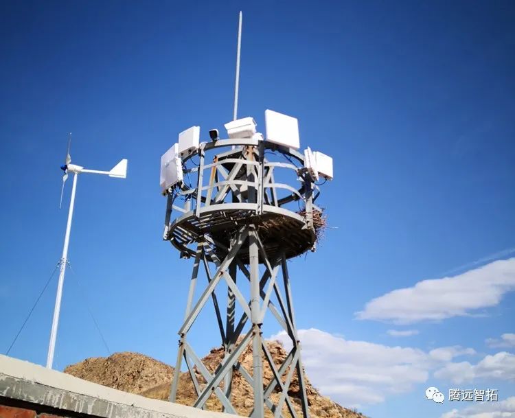 现场实况 现场实况